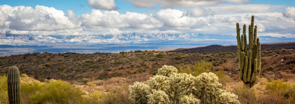 A desert landscape featuring cacti and shrubs in the foreground stretches towards distant snow-capped mountains under a sky filled with fluffy clouds. The terrain, typical of an arid region, showcases a mix of green and brown vegetation, evoking a rugged sense of home amidst nature's beauty.