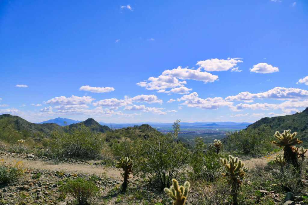 Scenic desert landscape with mountains and valleys under a clear blue sky dotted with white clouds. Sparse desert vegetation, including cacti and shrubs, cover the rocky terrain in the foreground, making it one of the must-see local attractions.