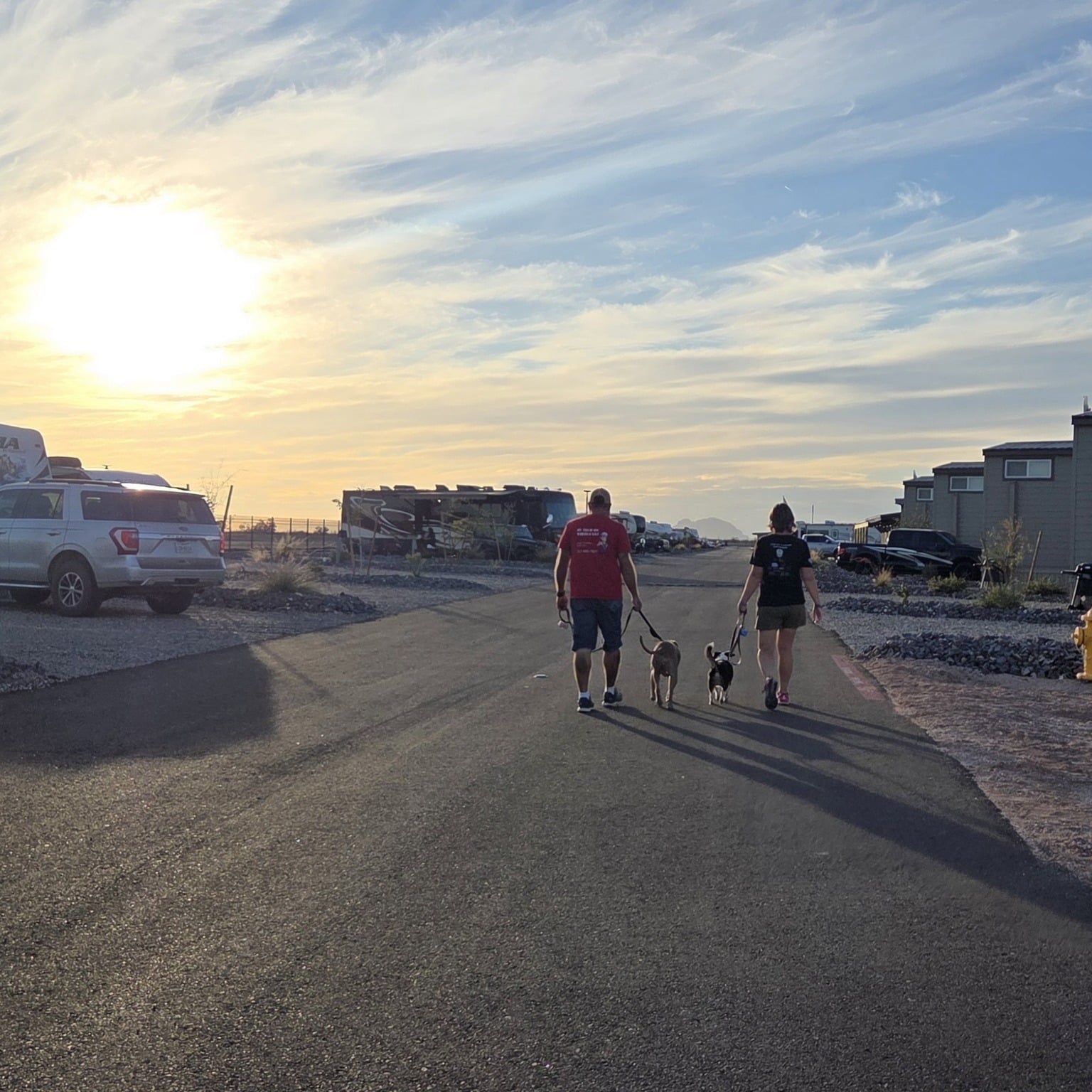 Two people walk three small dogs down a paved road at a campground during sunset, with RVs and cars parked on either side under a partly cloudy sky.